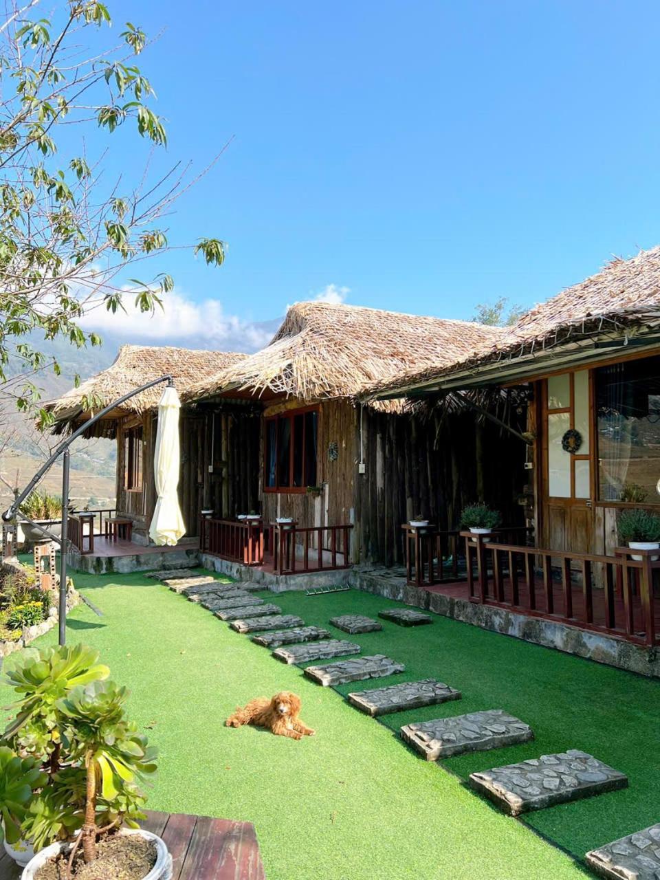 Sapa Eco Hugo Bed & Breakfast ภายนอก รูปภาพ