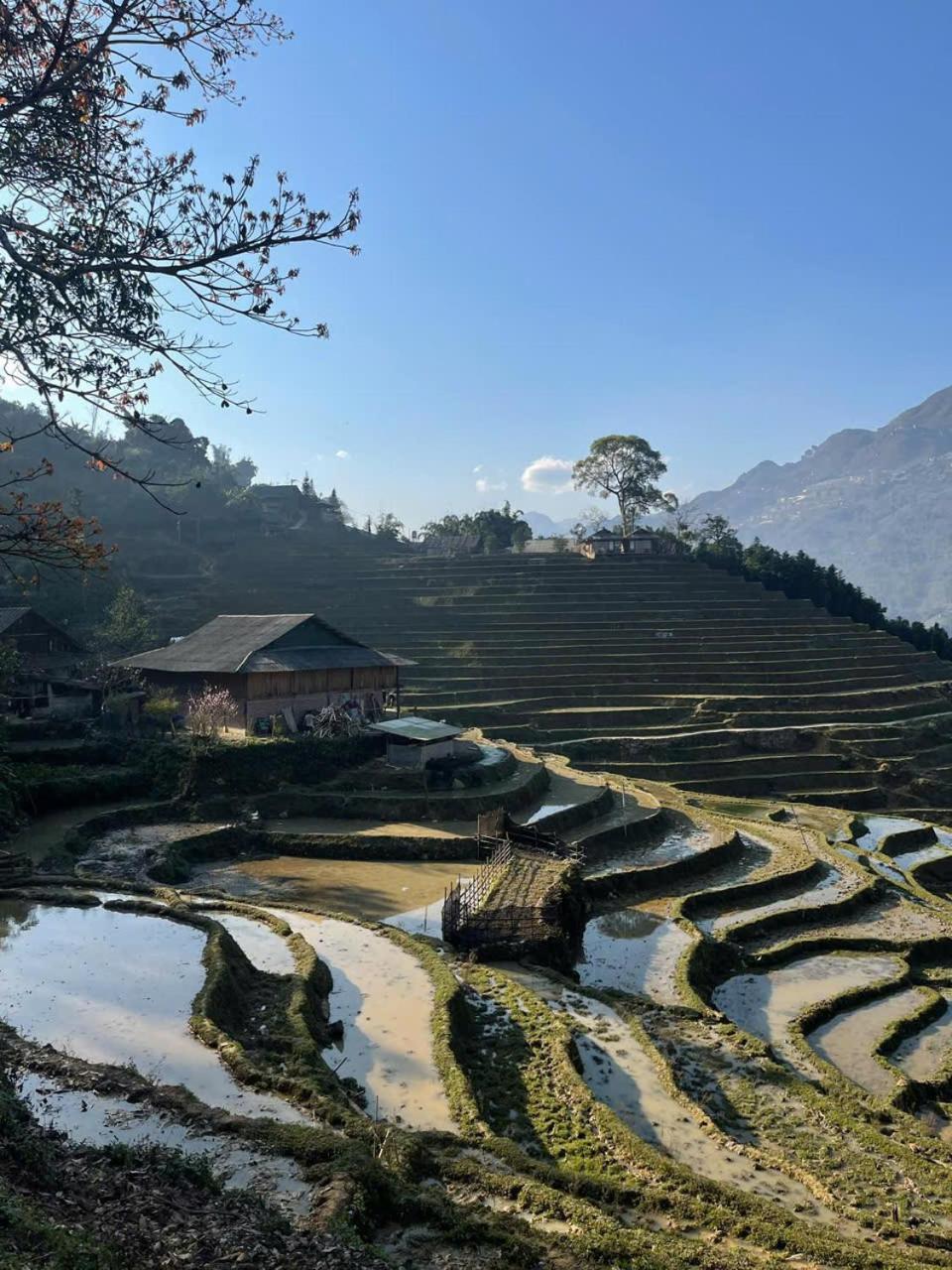 Sapa Eco Hugo Bed & Breakfast ภายนอก รูปภาพ